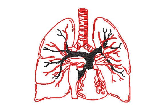 Halloween Lung Anatomy Embroidery Review